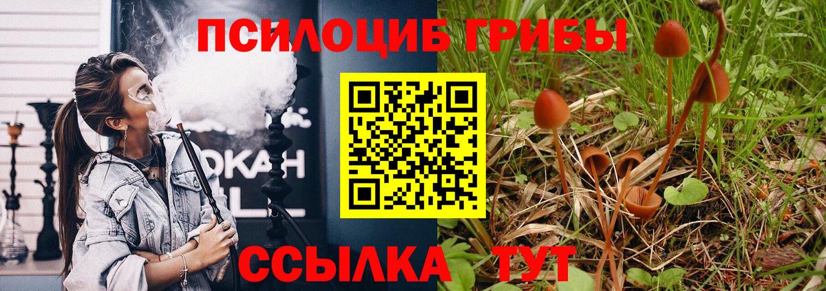 Галлюциногенные грибы Magic Shrooms  Псилоцибиновые грибы GOLDEN TEACHER  Вход с VPN  Полевской 