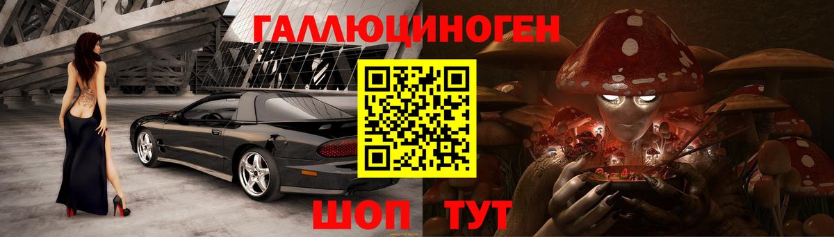 Галлюциногенные грибы мухоморы Полевской
